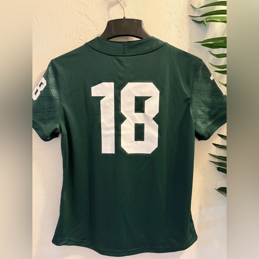 Nike Michigan State Authentic Team Green Dri-FIT Shirt - Picture 2 of 8